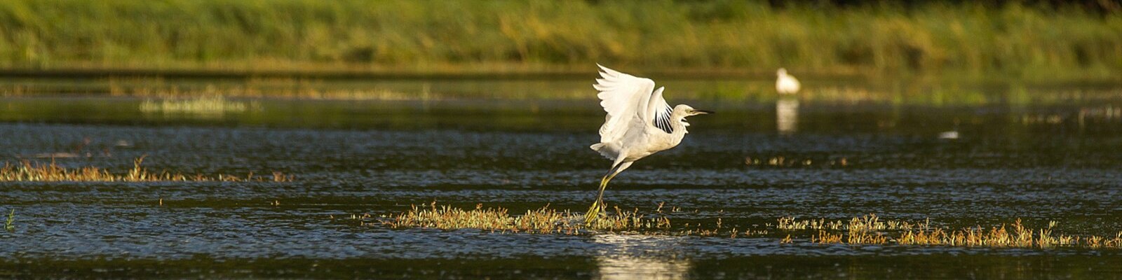 [Translate to English:] 