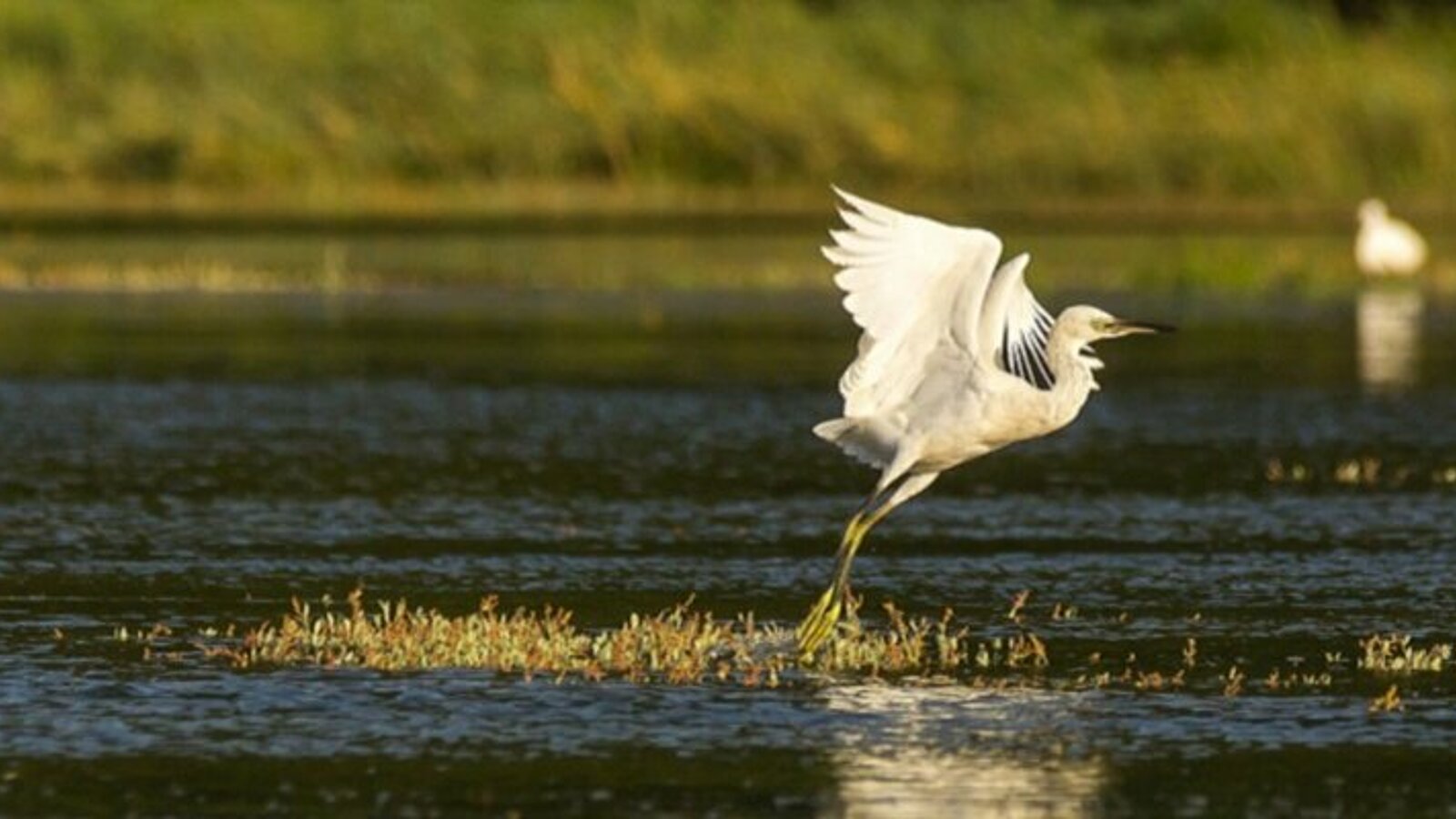 [Translate to English:] 