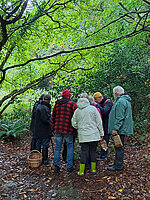 Un pas pour ma planète 2025